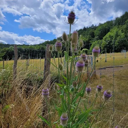 Sechoir_28 Ubytování v soukromí *